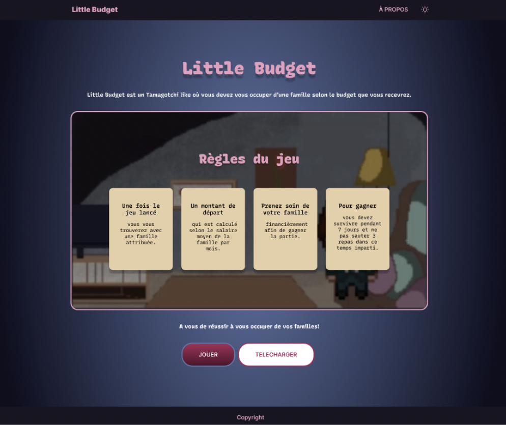 image from project audit of Little Budget